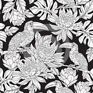 Seamless line art pattern with toucan bird, tropical leaves and exotic flowers, wildlife plants photo