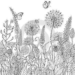 Seamless line pattern with wildflowers and insects