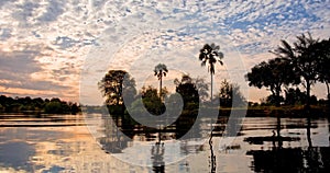 Seamless loop, landscape of the Zambezi river at sunset in Zambia Africa, african nature travel and tourism concept