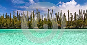 Seamless loop, Natural pool of Oro Bay, famous attraction in the Isle of Pines, New Caledonia