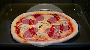 Seamless loop - Peperoni pizza baking in the oven video hd