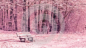 Seamless loop - Snowing on a bench in a forest, winter scene