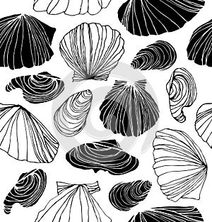 Seamless marine pattern with shells. Black and white graphic background with seashells.