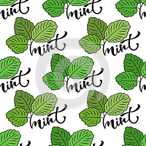 Seamless mint leaf pattern. Vector print for healthy product packaging design