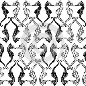 Seamless monochrome background with seahorses.