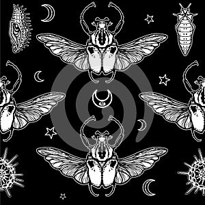 Seamless monochrome pattern: bug Goliath, radiolaria, symbols of the moon.