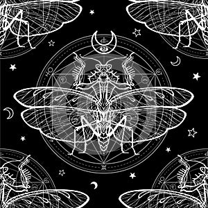 Seamless monochrome pattern: mantis ghost, alchemical circle of transformations.