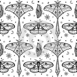 Seamless monochrome pattern: Tropical butterflies, larvae, symbols of the moon.
