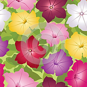 Seamless multicolor pattern with white flowers
