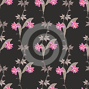 Seamless natural pattern with branches of virgin grapes, flowers and leaves of phyllocactus isolated on black background in vector