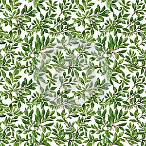 Seamless natural plant pattern with leaves