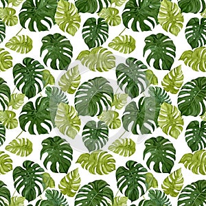 Seamless natural plant pattern with leaves