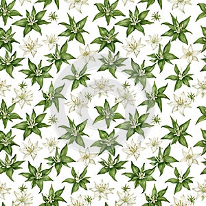 Seamless natural plant pattern with leaves