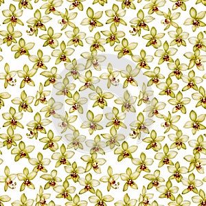 Seamless natural plant pattern with leaves