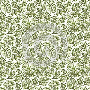 Seamless natural plant pattern with leaves