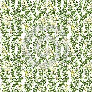 Seamless natural plant pattern with leaves