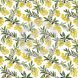 Seamless natural plant pattern with leaves