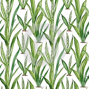 Seamless natural plant pattern with leaves