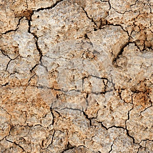 Seamless natural texture - cracked clay ground