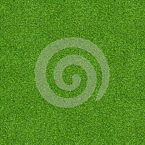 Seamless natured green grass field texture banner background