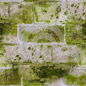 Seamless old stone brick wall with mold and moss texture. background, architecture.