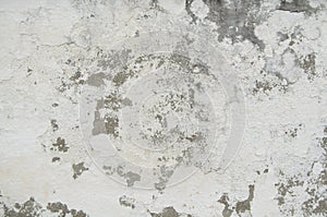 Seamless Old White Cement Wall Paint Cracks Texture for background and design art work