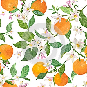 Seamless Orange pattern with tropic fruits, leaves, daisy flowers background. Hand drawn illustration in watercolor style summer