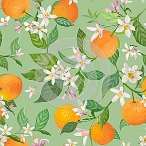 Seamless Orange pattern with tropic fruits, leaves, daisy flowers background. Hand drawn illustration in watercolor style summer