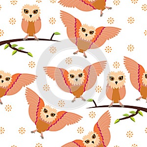 Seamless owl pattern with white background