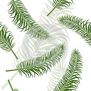 Seamless palm leaf pattern.