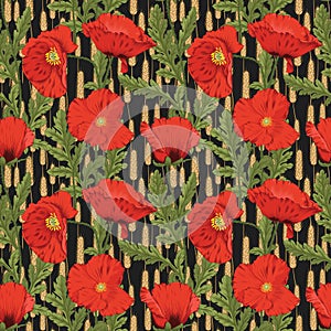 Seamless Papaver Rhoeas Flowers with Wheat Stalks Pattern