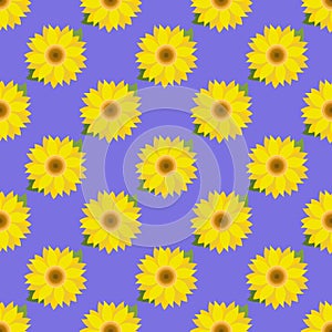 Seamless pattern abstract sunflower