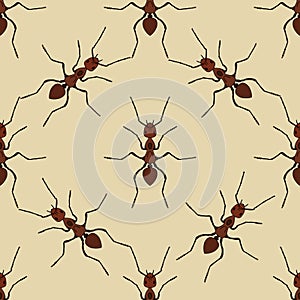 Seamless pattern with ant .Formica exsecta. hand-drawn ant. Vector
