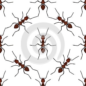 Seamless pattern with ant .Formica exsecta.Vector