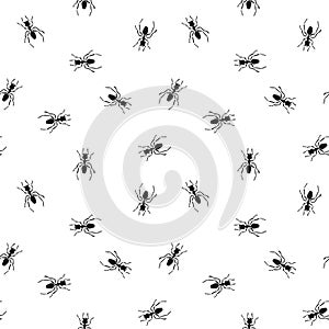 Seamless pattern with ants. Endless ornament with ants