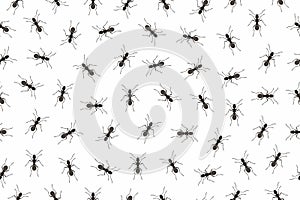 Seamless pattern ants
