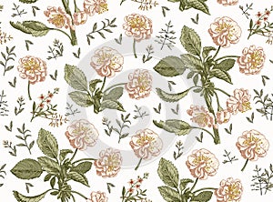 Seamless pattern Apple tree isolated flowers Vintage background Drawing engraving Vector illustration