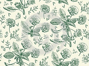 Seamless pattern Apple tree isolated flowers Vintage background Drawing engraving Vector illustration