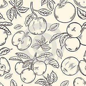 Seamless pattern with apples, vector. Fruits whole and halves, on a branch and leaves. Hand drawing sketch. Background