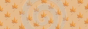 Seamless pattern autumn banner maple leaf beige