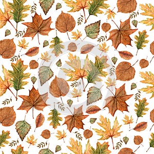 Seamless pattern of Autumn fall leaves,natural branches, colorful herbs, hand drawn in watercolor. Beauty elegant background