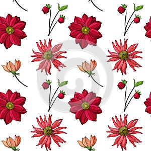 Seamless pattern of autumn flowers, buds: dahlia, zinnia. Hand drawn vector illustration