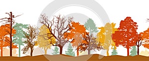 Seamless pattern of autumn forest silhouette. Bright colors of trees. Silhouettes of bare trees. Vector illustration
