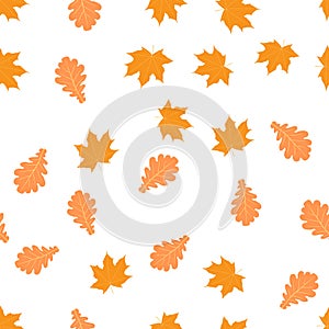 Seamless pattern with autumn leafs on white background