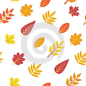 Seamless pattern. Autumn leaves isolated on a white background. Texture for print, wallpaper, home decor,