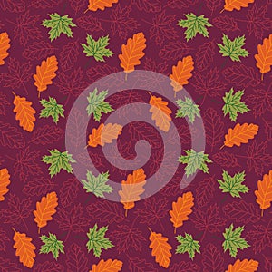 Seamless pattern with autumn leaves with line style Vector illustration background