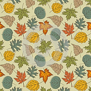 Seamless pattern with autumn leaves with line style Vector illustration background