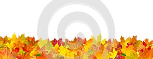 pattern of autumn leaves horizontal background