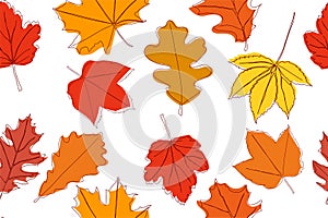 Seamless pattern of autumn leaves.Vector illustration isolated on white background.