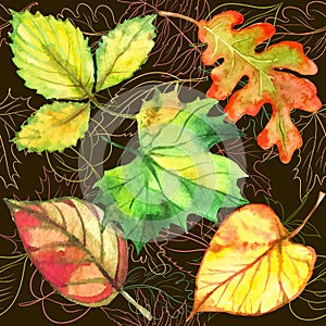 Seamless pattern with autumn leaves. Watercolor. Vector
